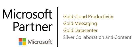 microsoft partner 3x gold & 1x_silber