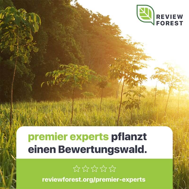 Startseite Review Forest